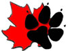 Canuck Dogs